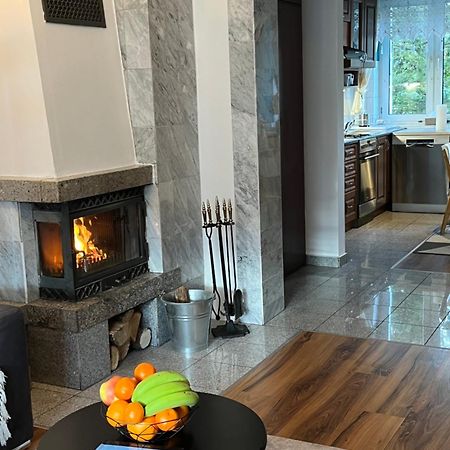 Sweet Home Cieplice Mountain View Apartament By The Main Park And Thermal Pools 耶莱尼亚古拉 外观 照片