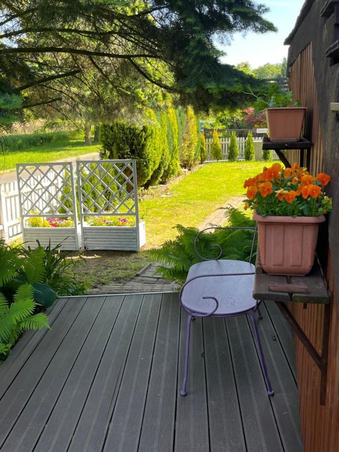 Sweet Home Cieplice Mountain View Apartament By The Main Park And Thermal Pools 耶莱尼亚古拉 外观 照片