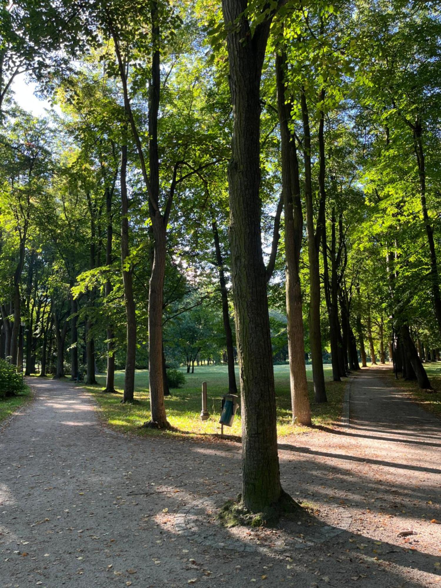 Sweet Home Cieplice Mountain View Apartament By The Main Park And Thermal Pools 耶莱尼亚古拉 外观 照片