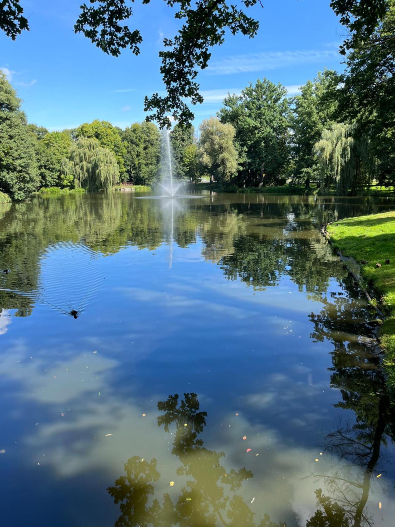Sweet Home Cieplice Mountain View Apartament By The Main Park And Thermal Pools 耶莱尼亚古拉 外观 照片
